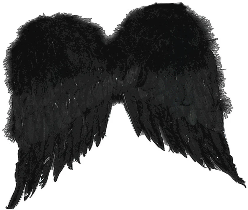Costume Wings Black Feather Wings