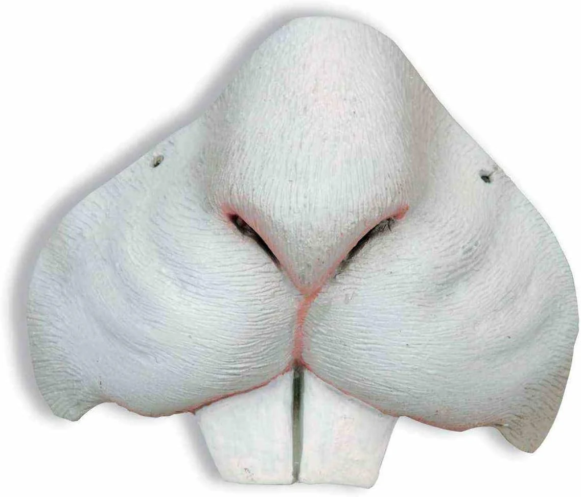 White Easter Bunny Rabbit Nose Costume Accessory