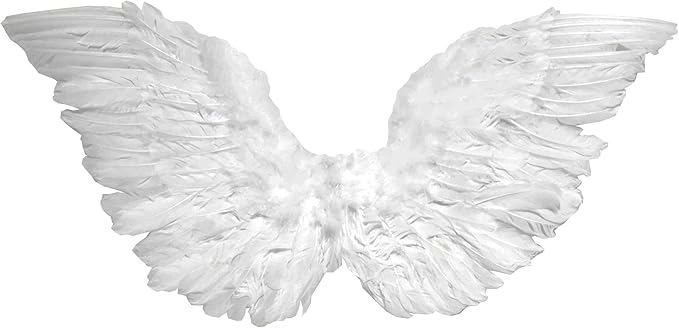 Small Feather Angel Wings