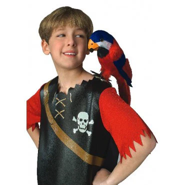 Feathered Parrot