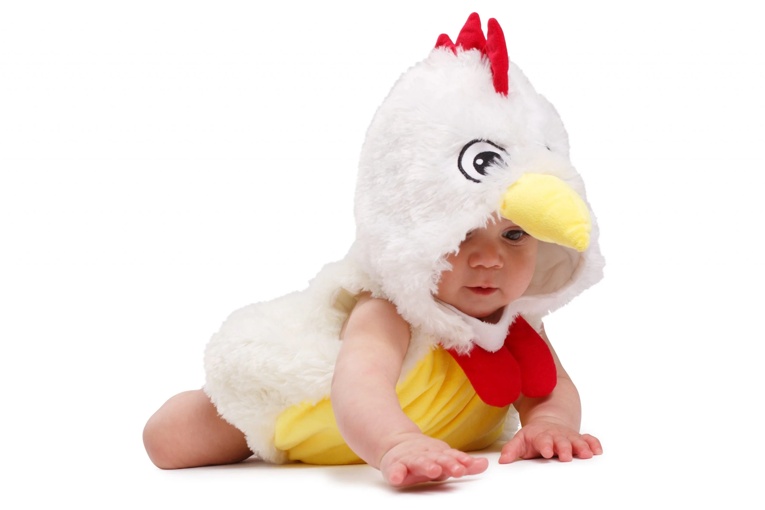 Infants/Toddlers Baby Rooster Chicken Costume - Image 3