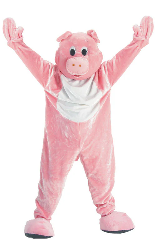 Kids Pig Mascot Costume