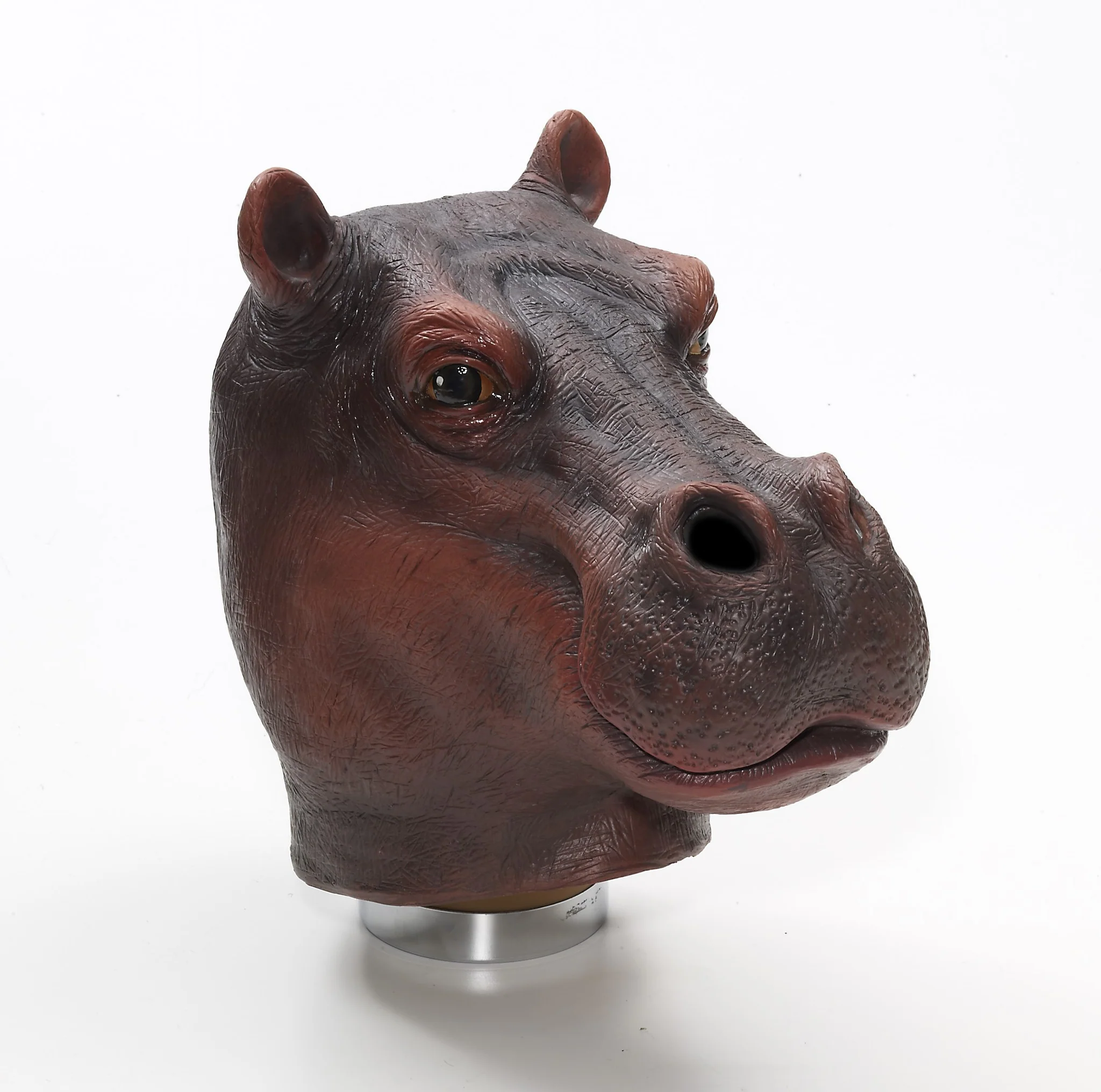 Mask-Hippo-Latex