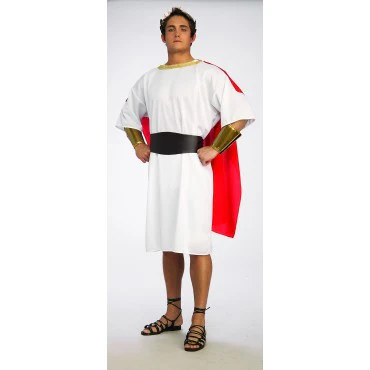Mens Centurion Costume