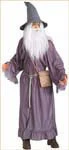 Mens Lord of the Rings Gandalf Costume