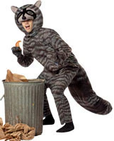 Mens Raccoon Costume