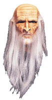 Merlin the Wizard Mask