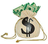 Money Bag Purse
