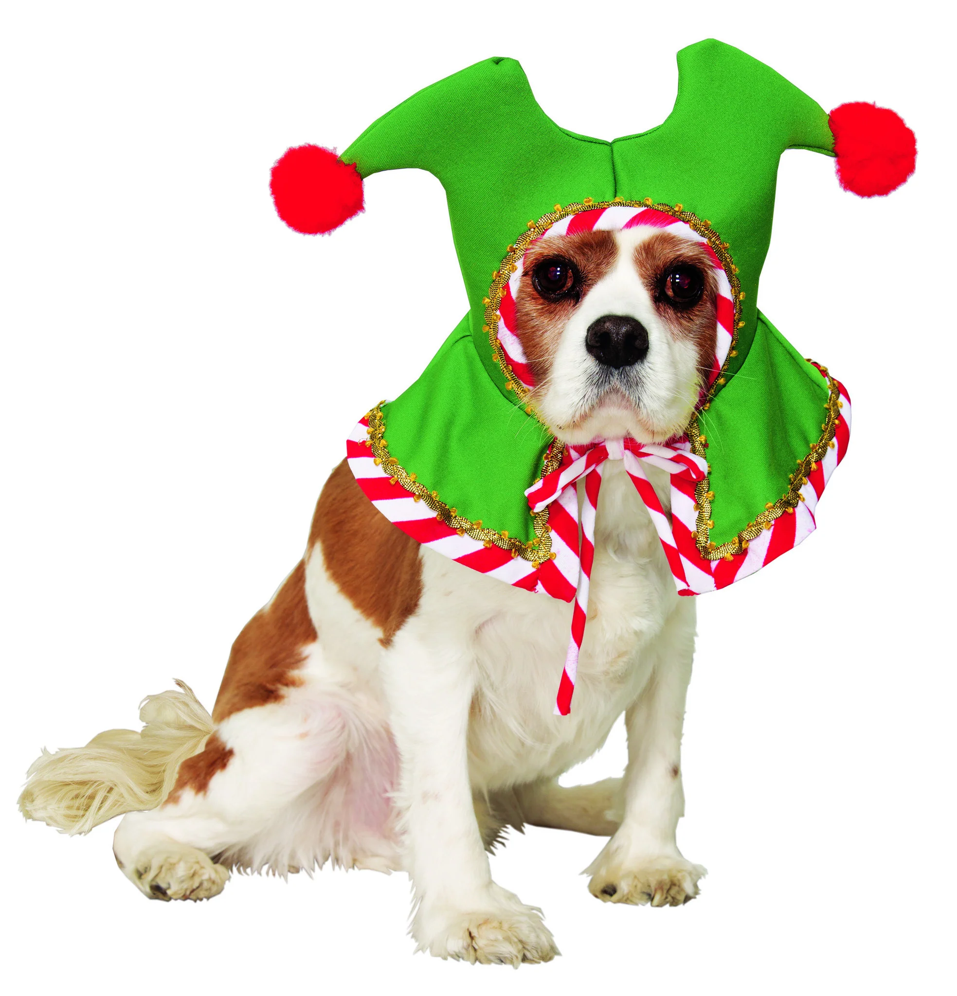 Pet-Santa's Pet Elf Hat