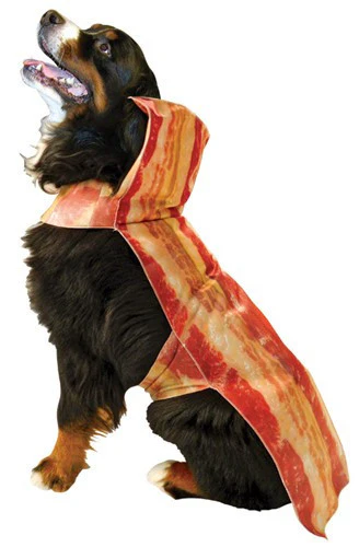 Pets Bacon Costume - Image 2