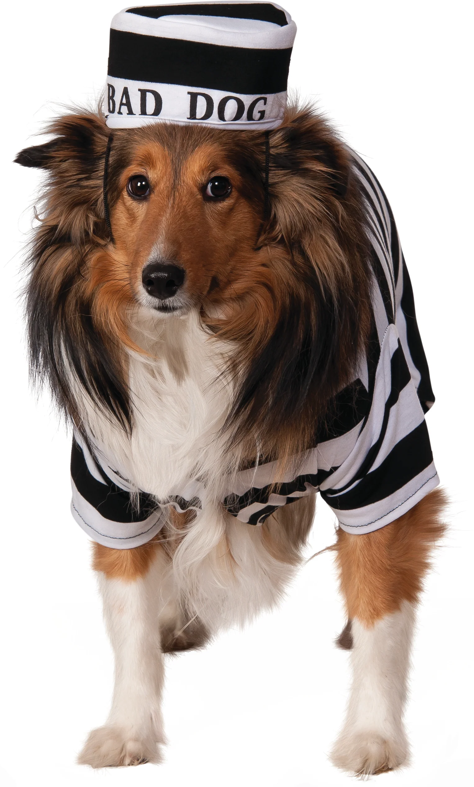 Pets Bad Dog Prisoner Costume