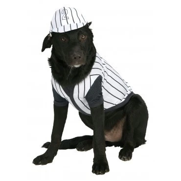 Pets Baseball Player Costume