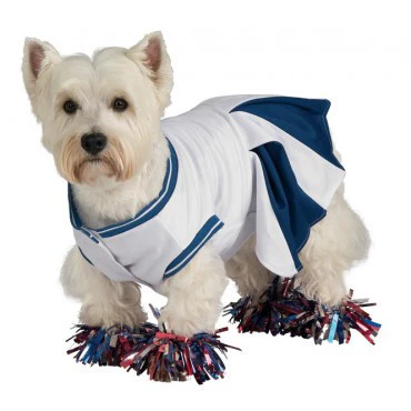 Pets Blue Cheerleader Costume