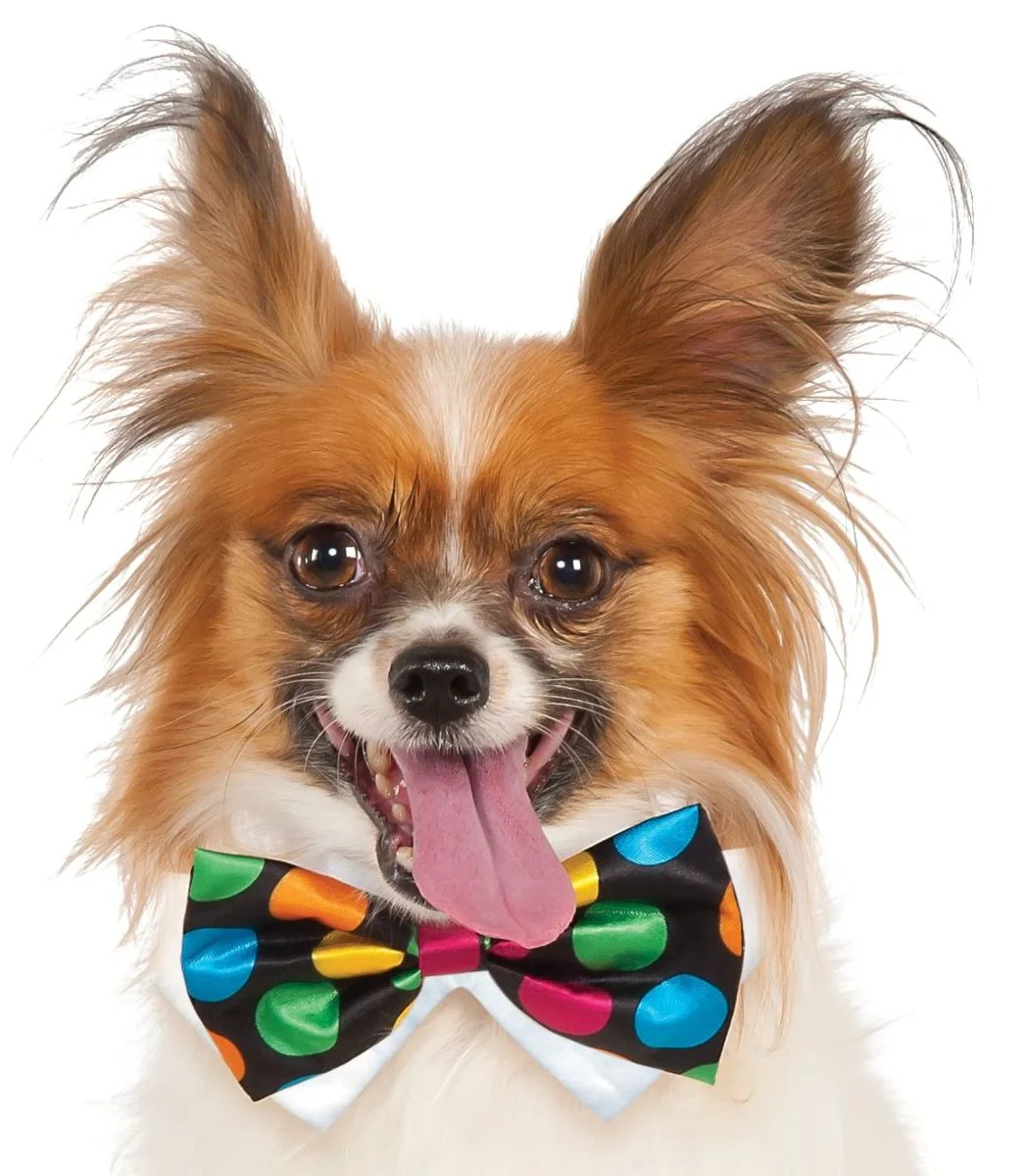 Pets Bow Tie Costume - Various Colors - Image 2