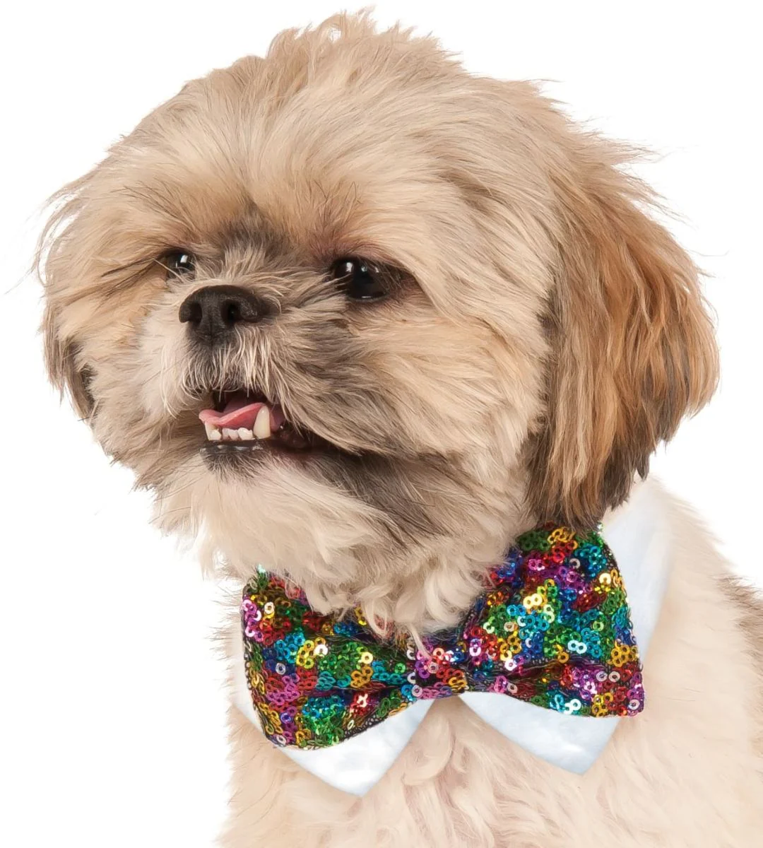 Pets Bow Tie Costume - Various Colors - Image 3