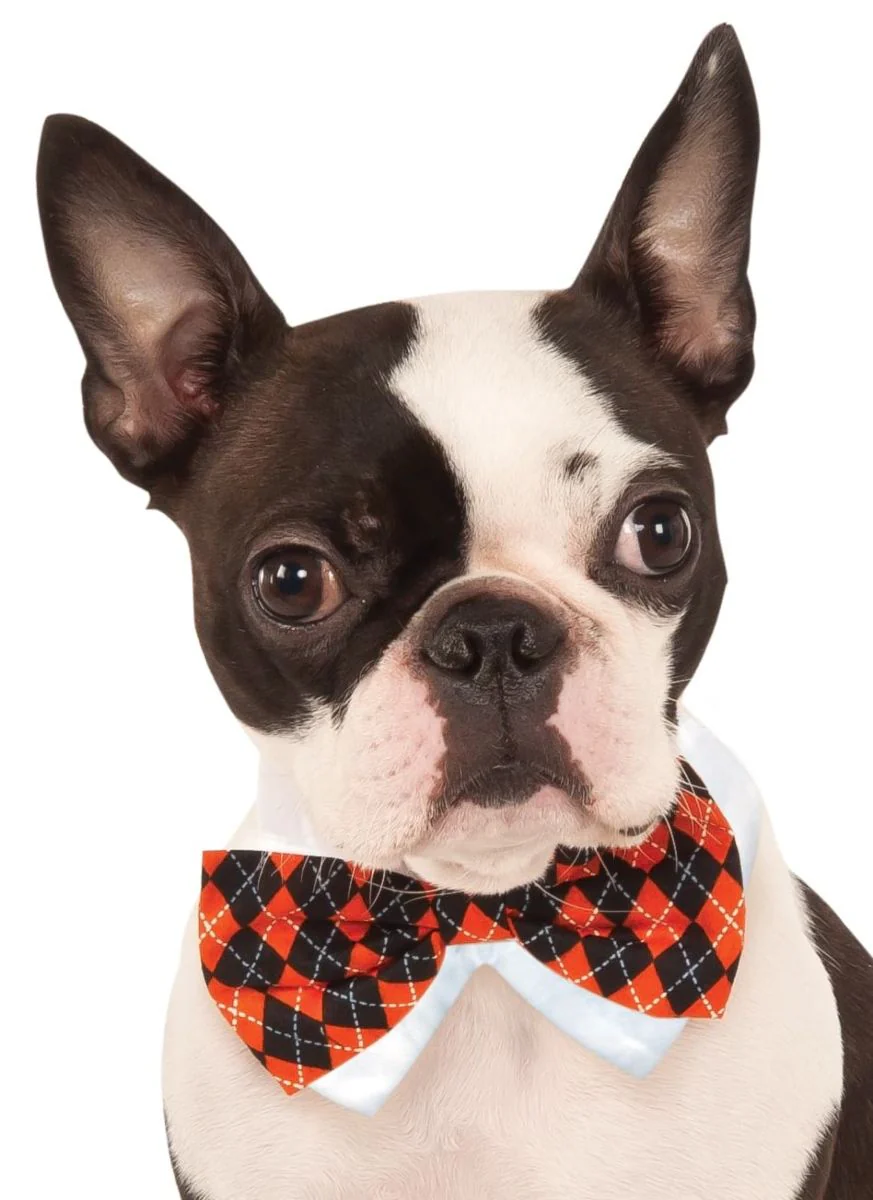 Pets Bow Tie Costume - Various Colors - Image 4
