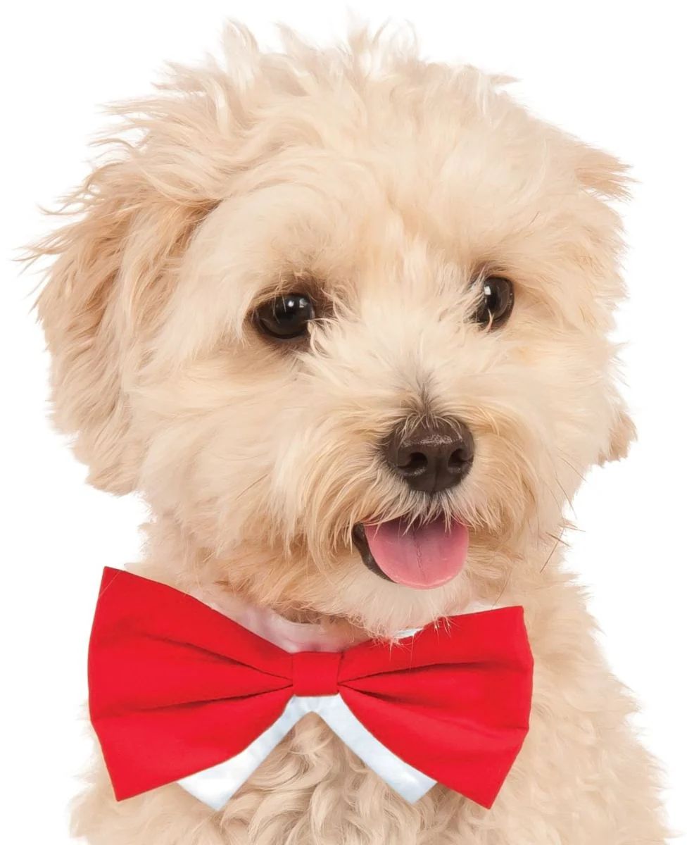 Pets Bow Tie Costume - Various Colors - Image 6
