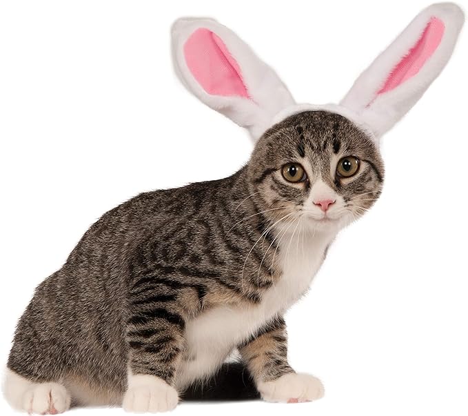 Pets Bunny Ears Costume Accessory