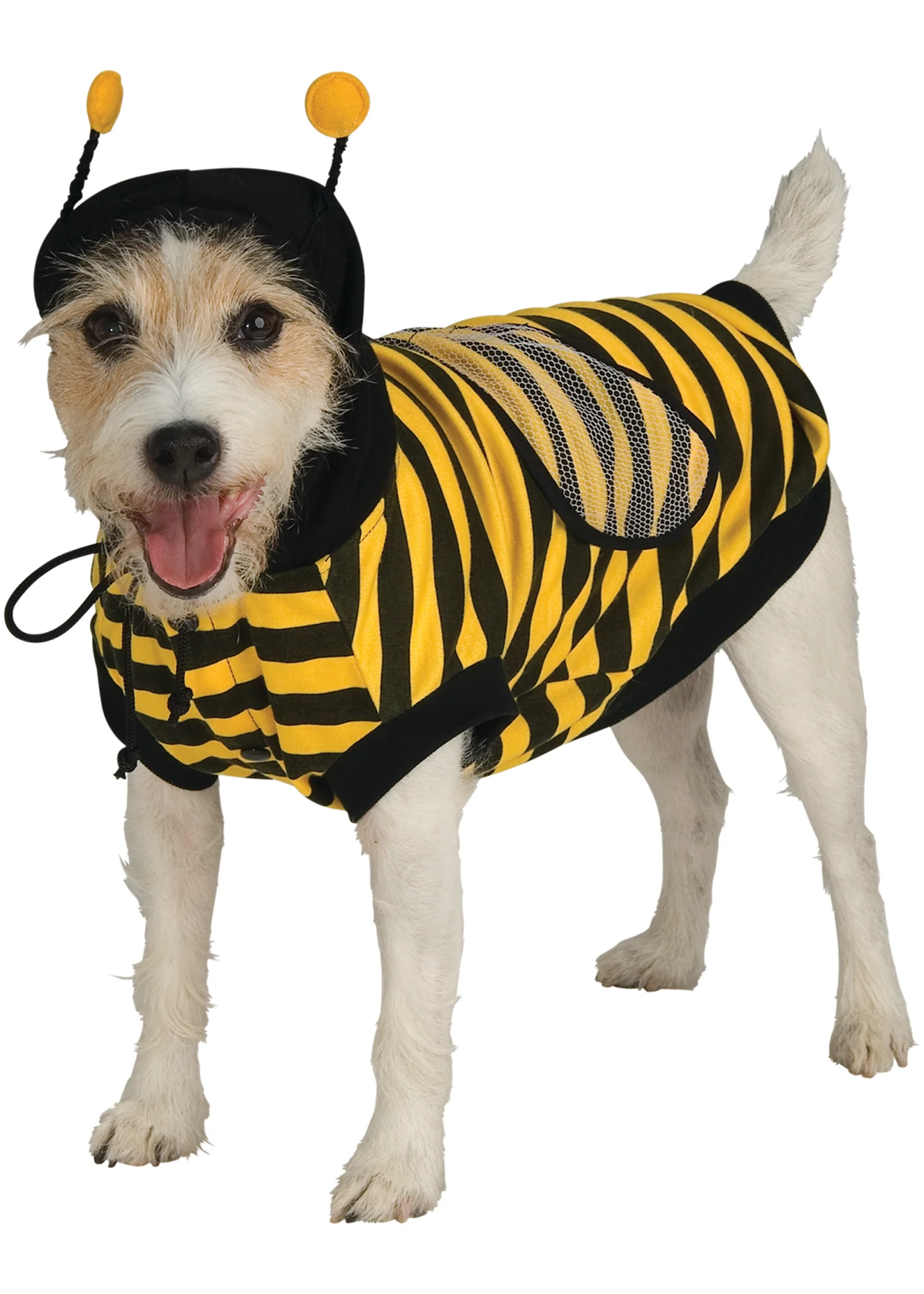 Pets Buzzing Bumble Bee Costume