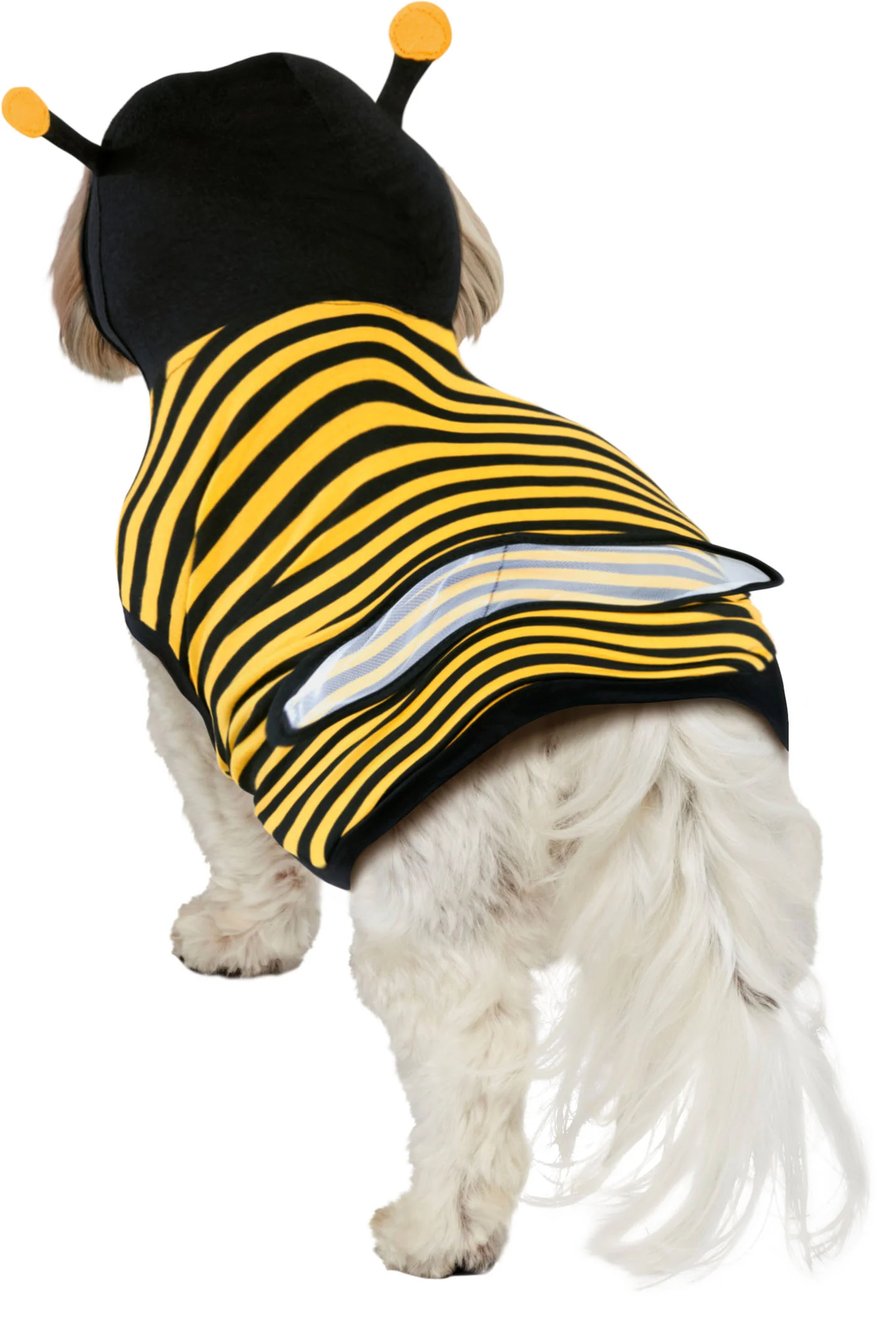 Pets Buzzing Bumble Bee Costume - Image 3