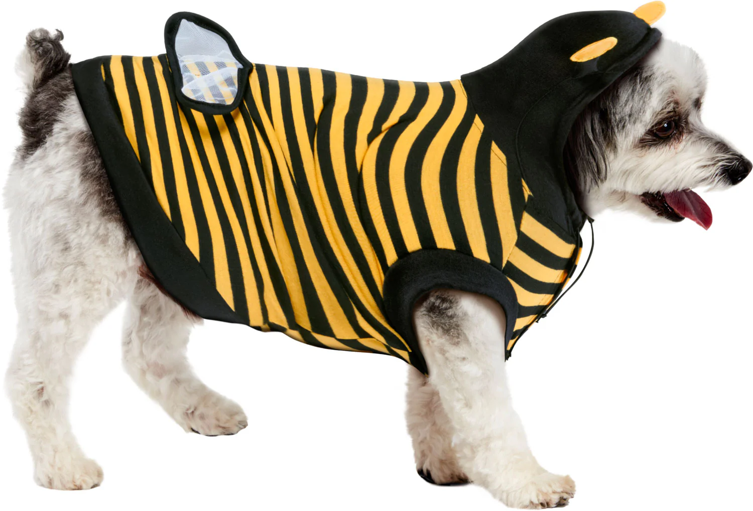 Pets Buzzing Bumble Bee Costume - Image 4