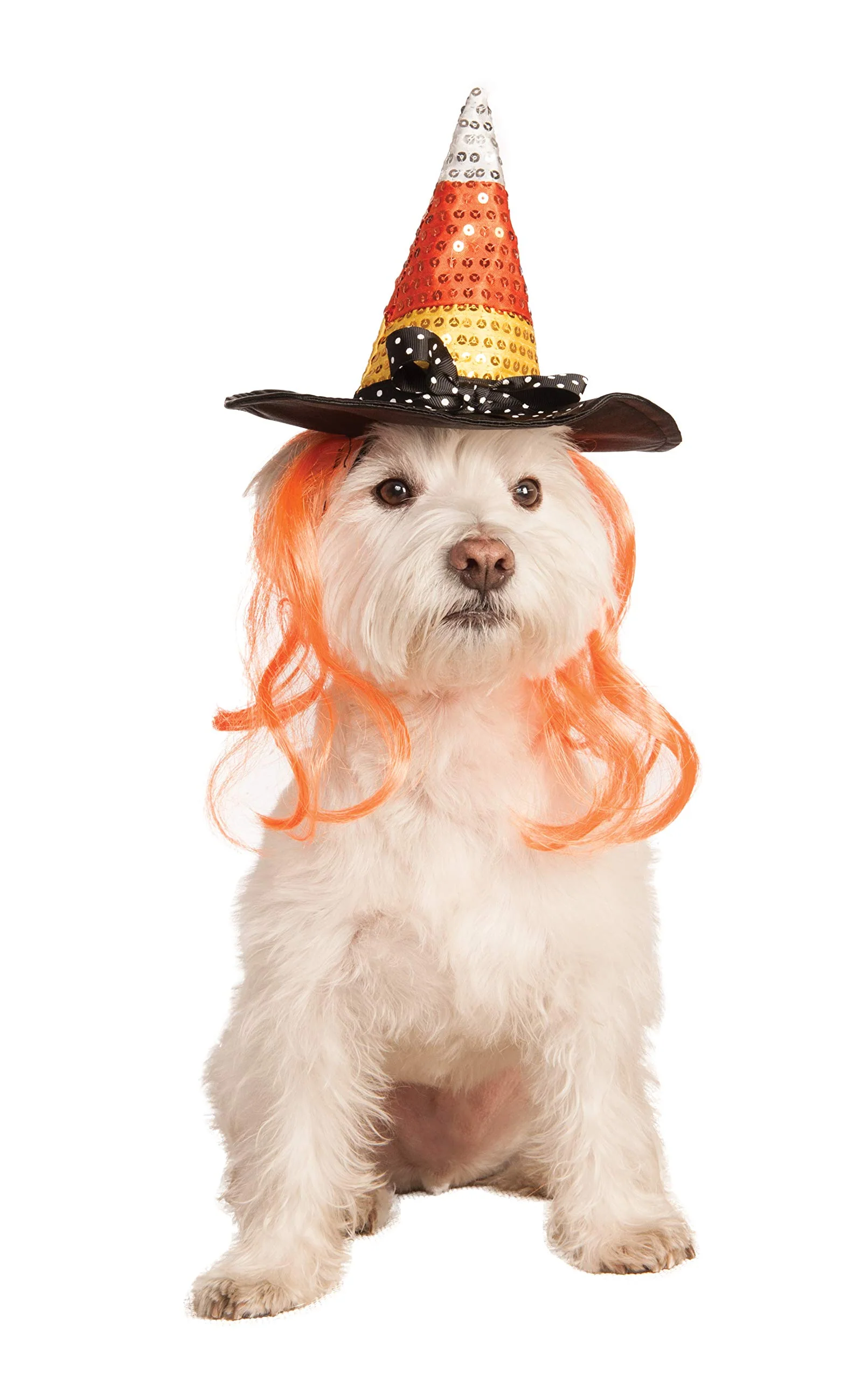 Pets Candy Corn Witch Hat with Hair Costume Accessory