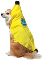 Pets Chiquita Banana Costume