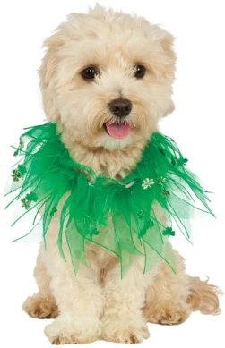 Pets Collar - Various Colors - Image 3