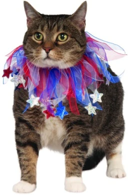 Pets Collar - Various Colors - Image 4