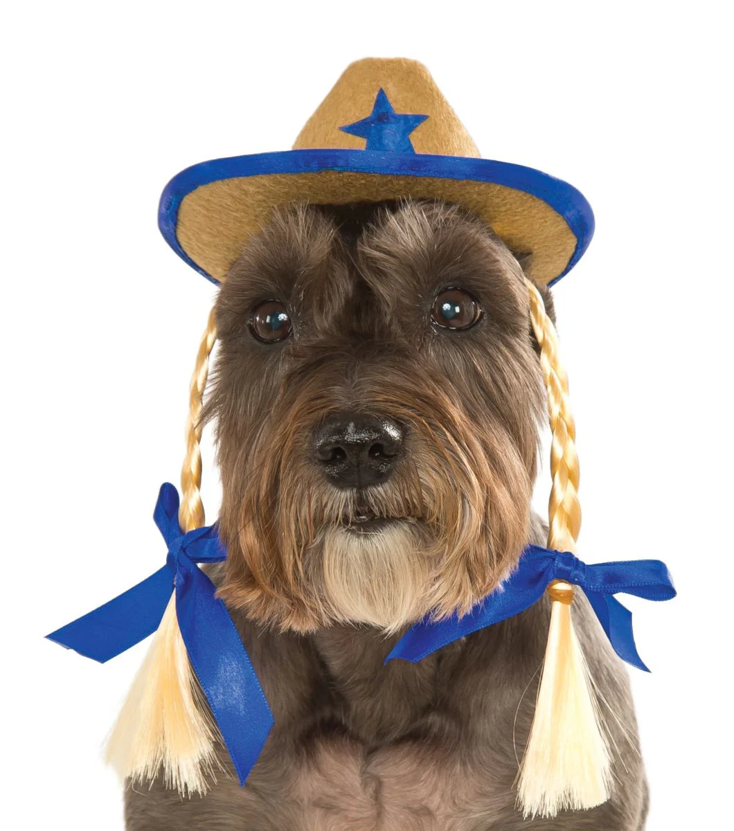 Pets Cowboy Hat - Various Colors - Image 10