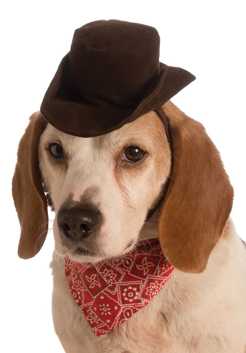Pets Cowboy Hat - Various Colors - Image 11