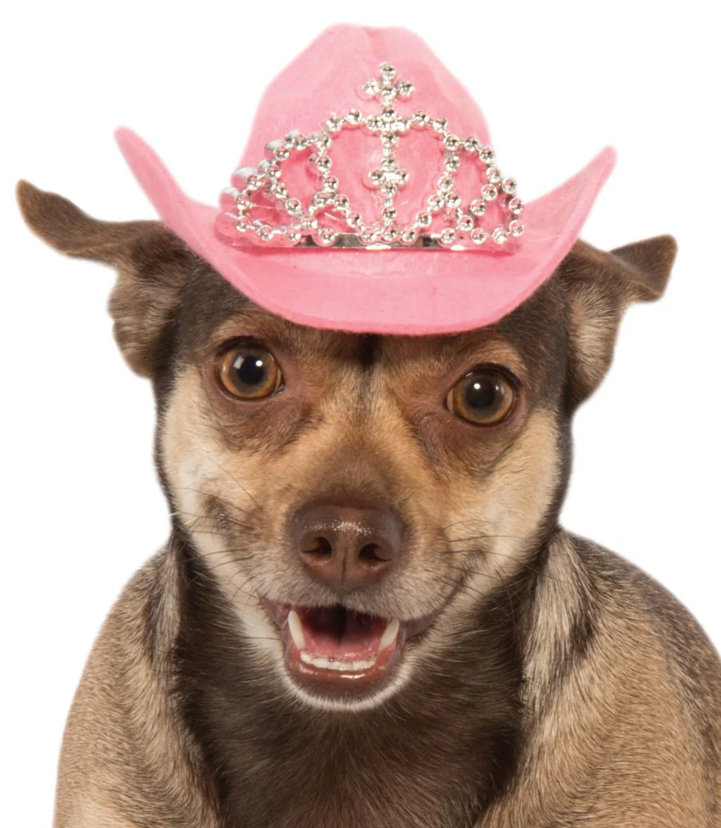Pets Cowboy Hat - Various Colors - Image 3