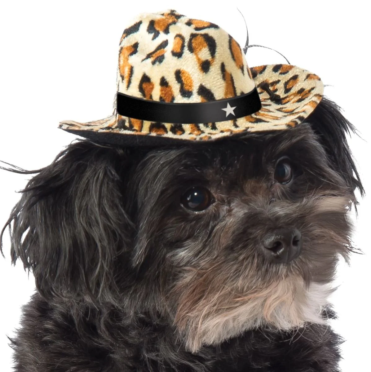 Pets Cowboy Hat - Various Colors - Image 4