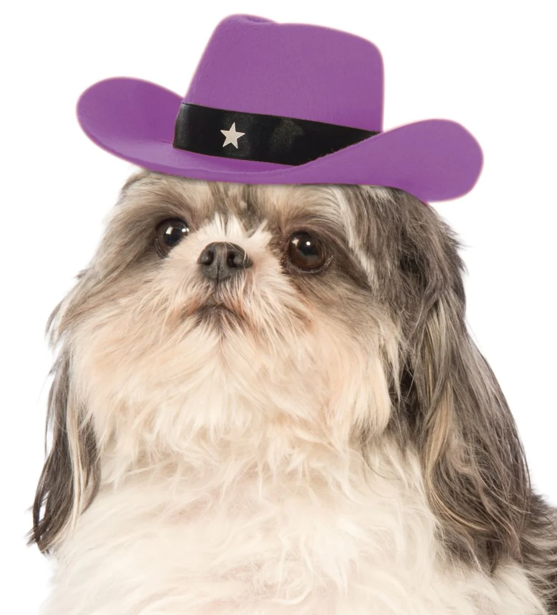 Pets Cowboy Hat - Various Colors - Image 5