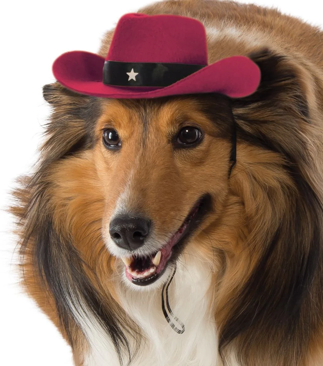 Pets Cowboy Hat - Various Colors - Image 6