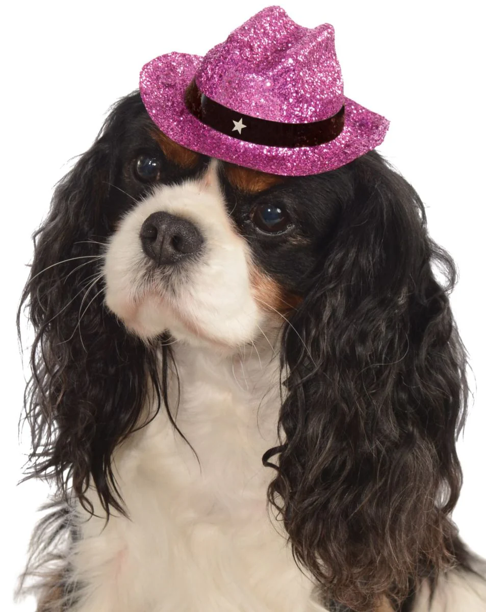 Pets Cowboy Hat - Various Colors - Image 8