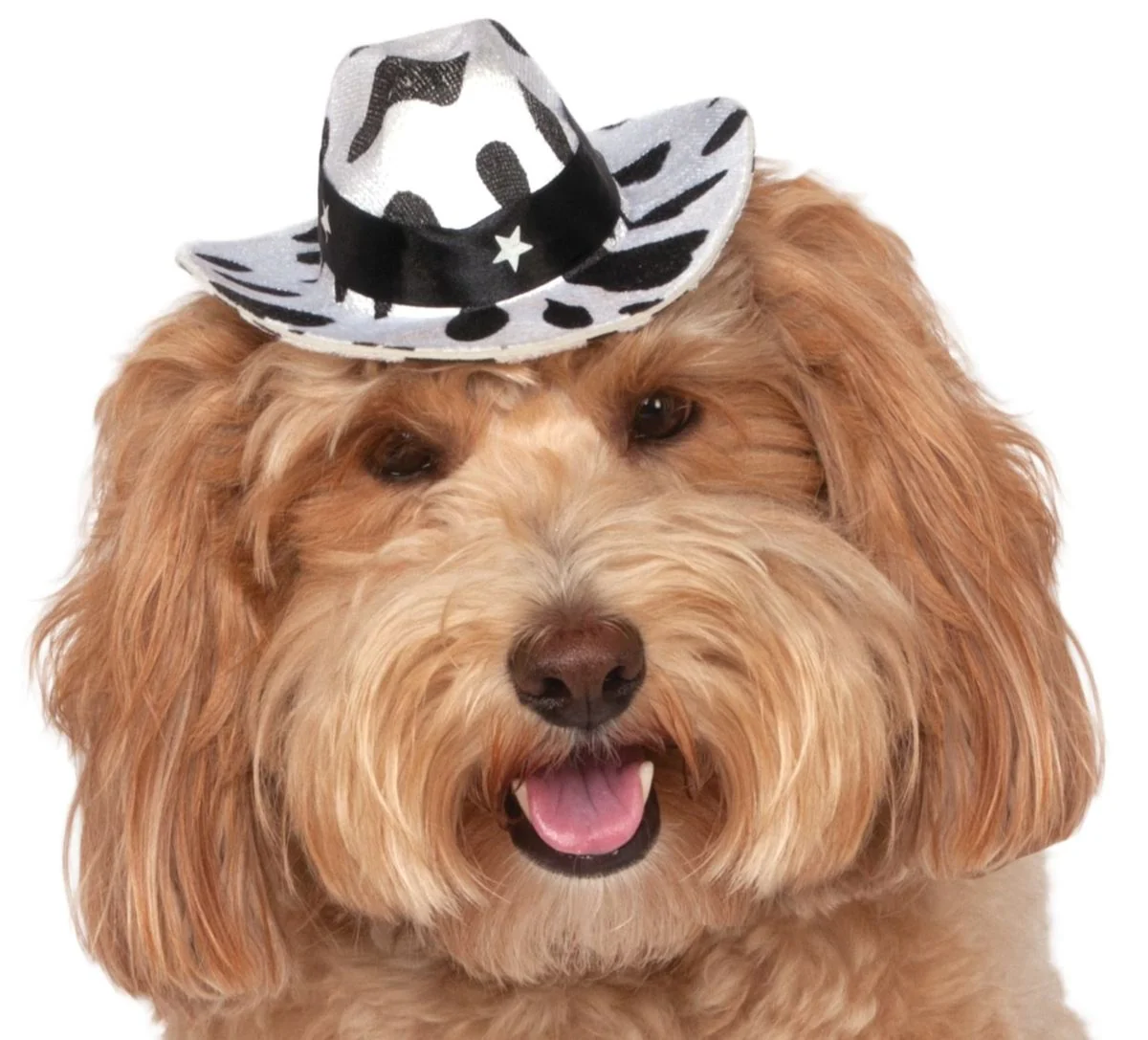 Pets Cowboy Hat - Various Colors - Image 9