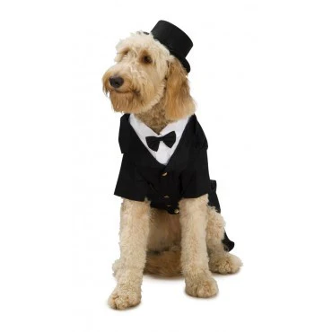 Pets Dapper Dog Tuxedo Costume