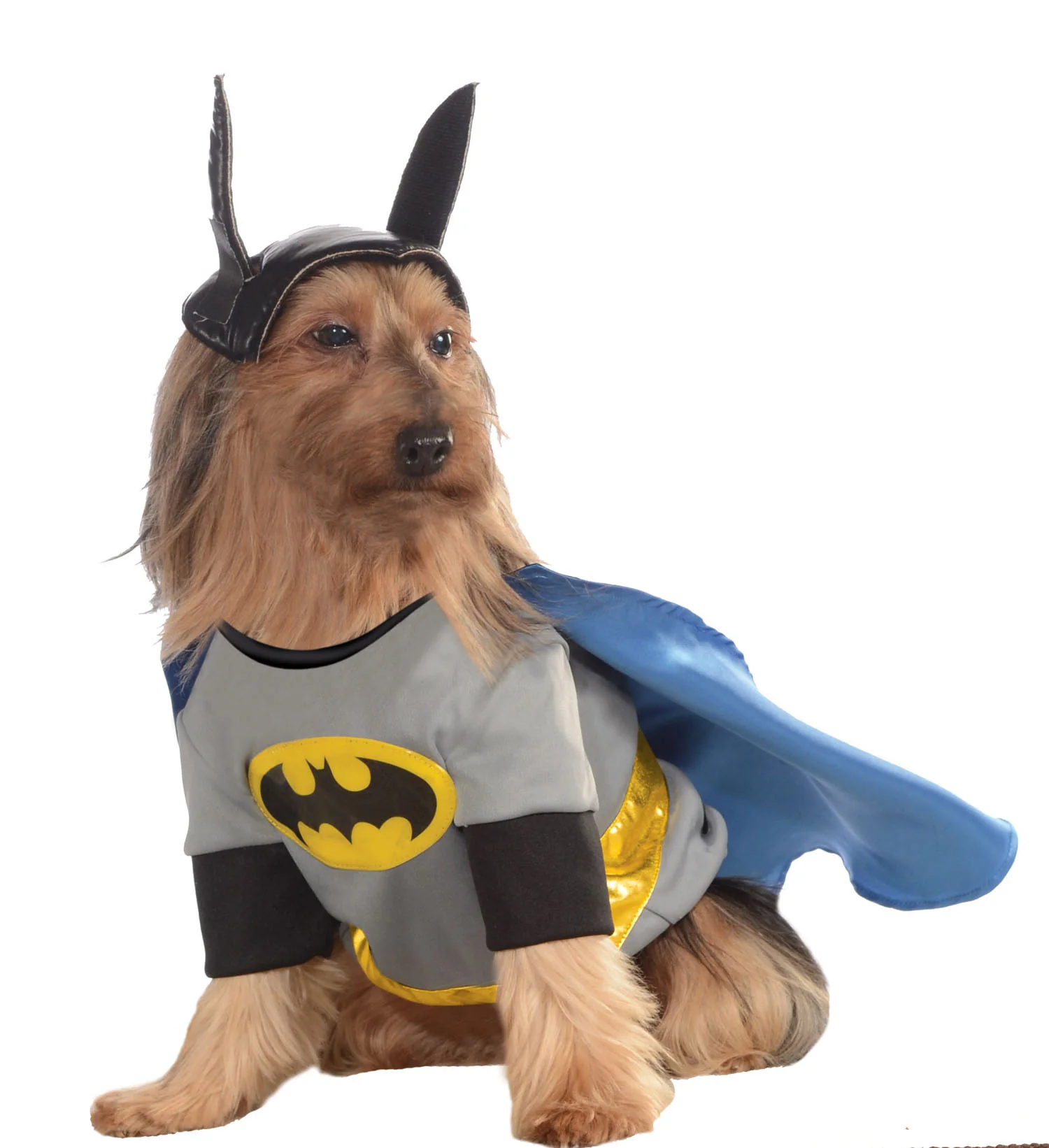 Pets DC Universe Batman Shirt & Cape Costume - Image 4
