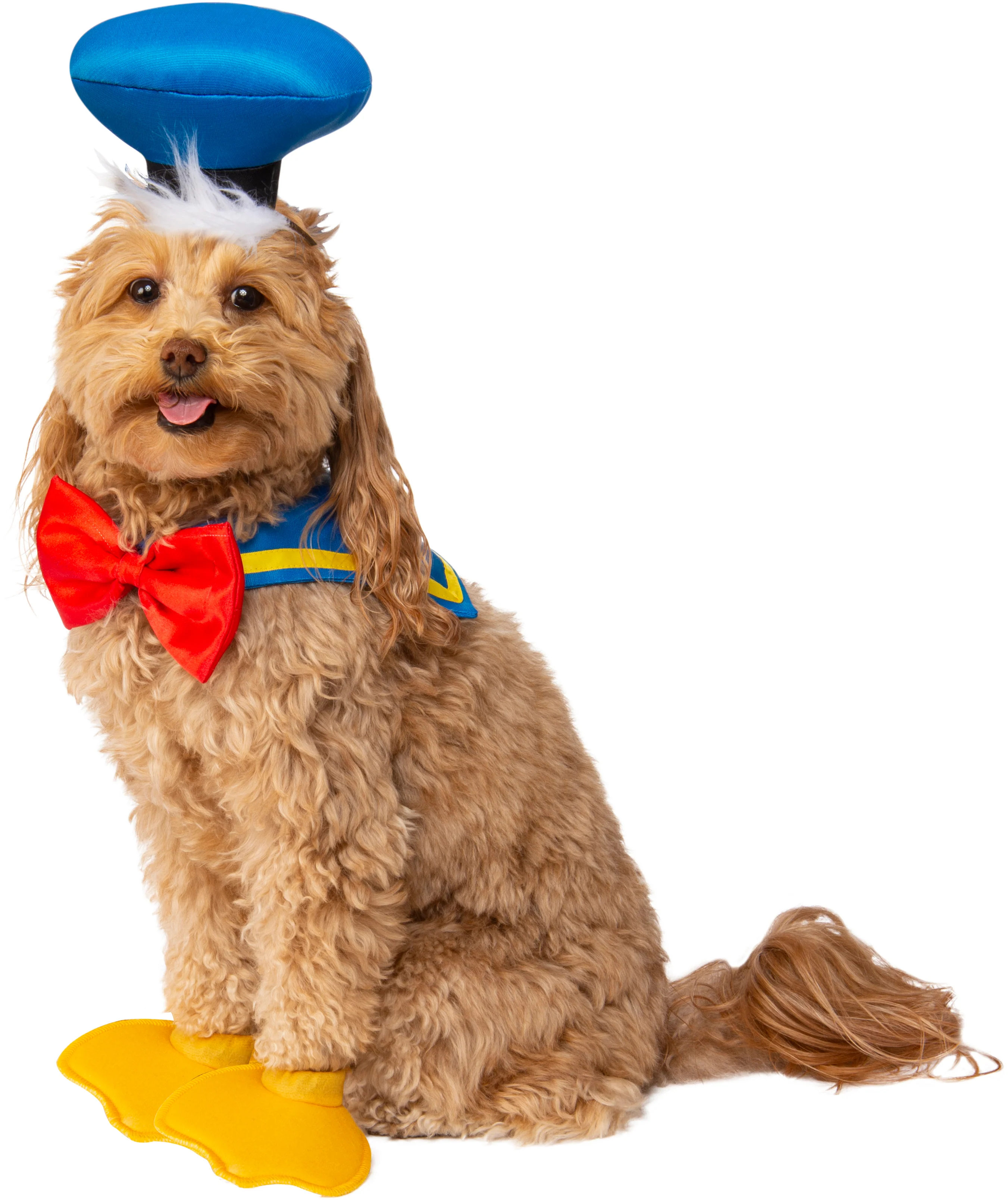 Pets Disney Donald Duck Costume Accessory Kit