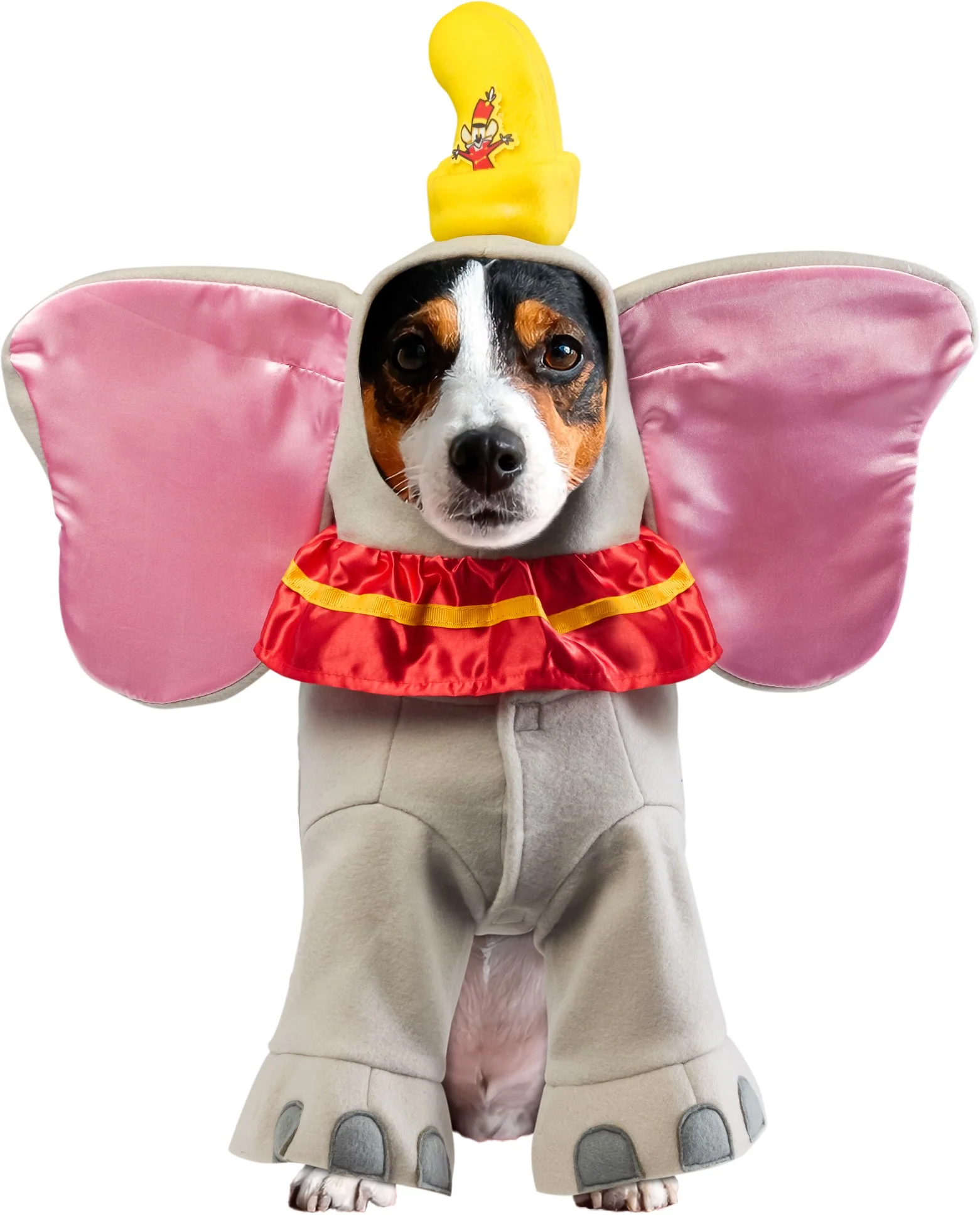 Pets Disney Dumbo Costume
