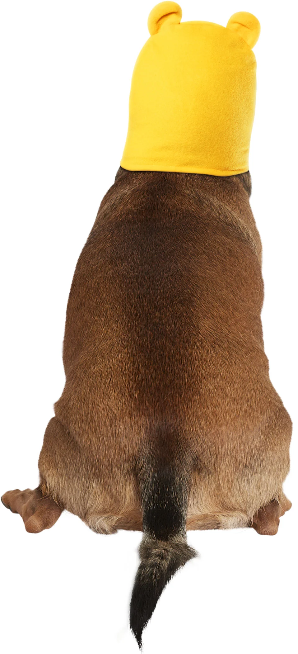 Pets Disney Winnie the Pooh Headpiece Costume Accessory - Image 3
