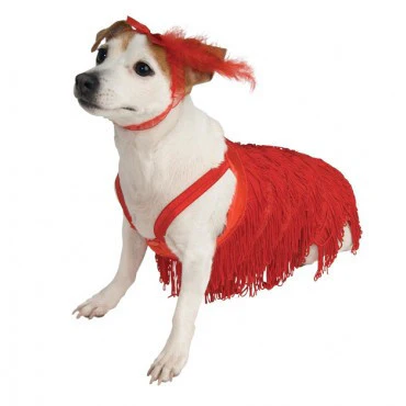 Pets Flapper Costume