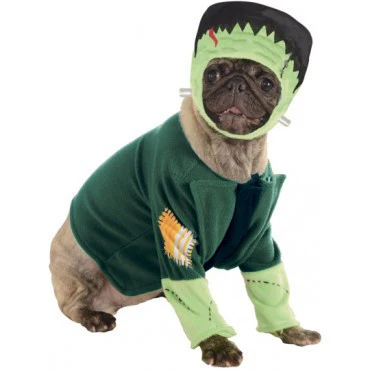 Pets Frankenstein Costume