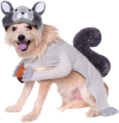 Pets Gray Squirrel with Acorn Costume