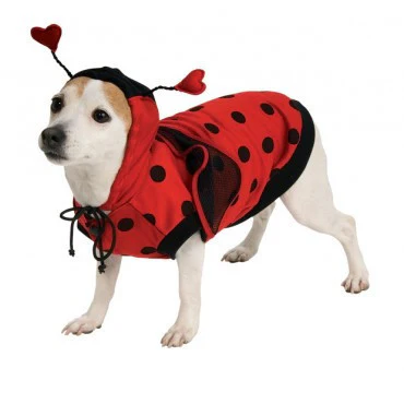 Pets Ladybug Costume