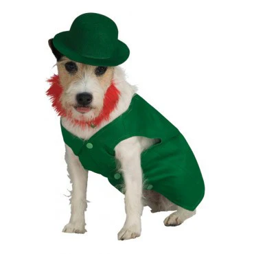 Pets Leprechaun Costume