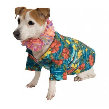 Pets Luau Costume