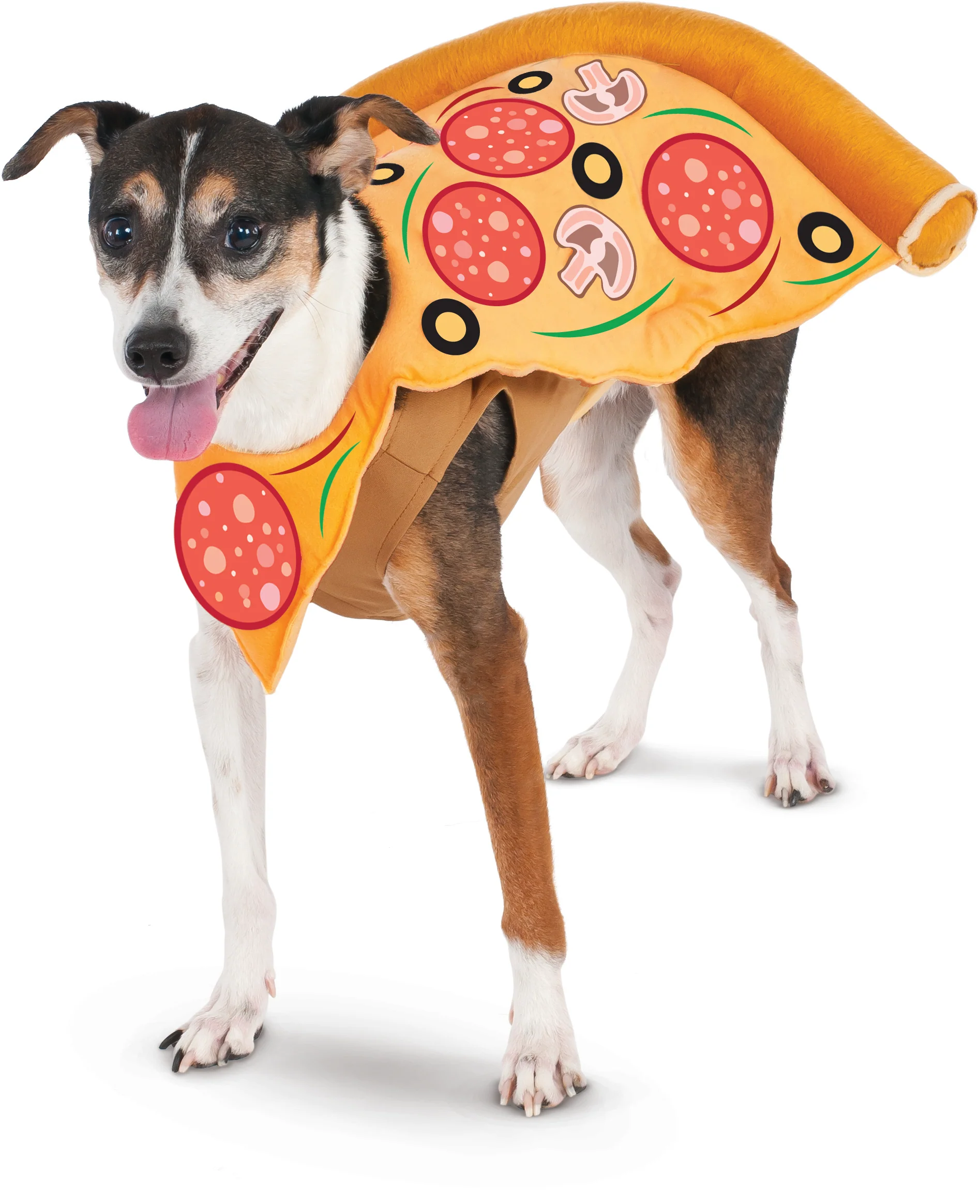 Pets Pizza Slice Costume - Image 2