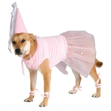 Pets Princess Costume